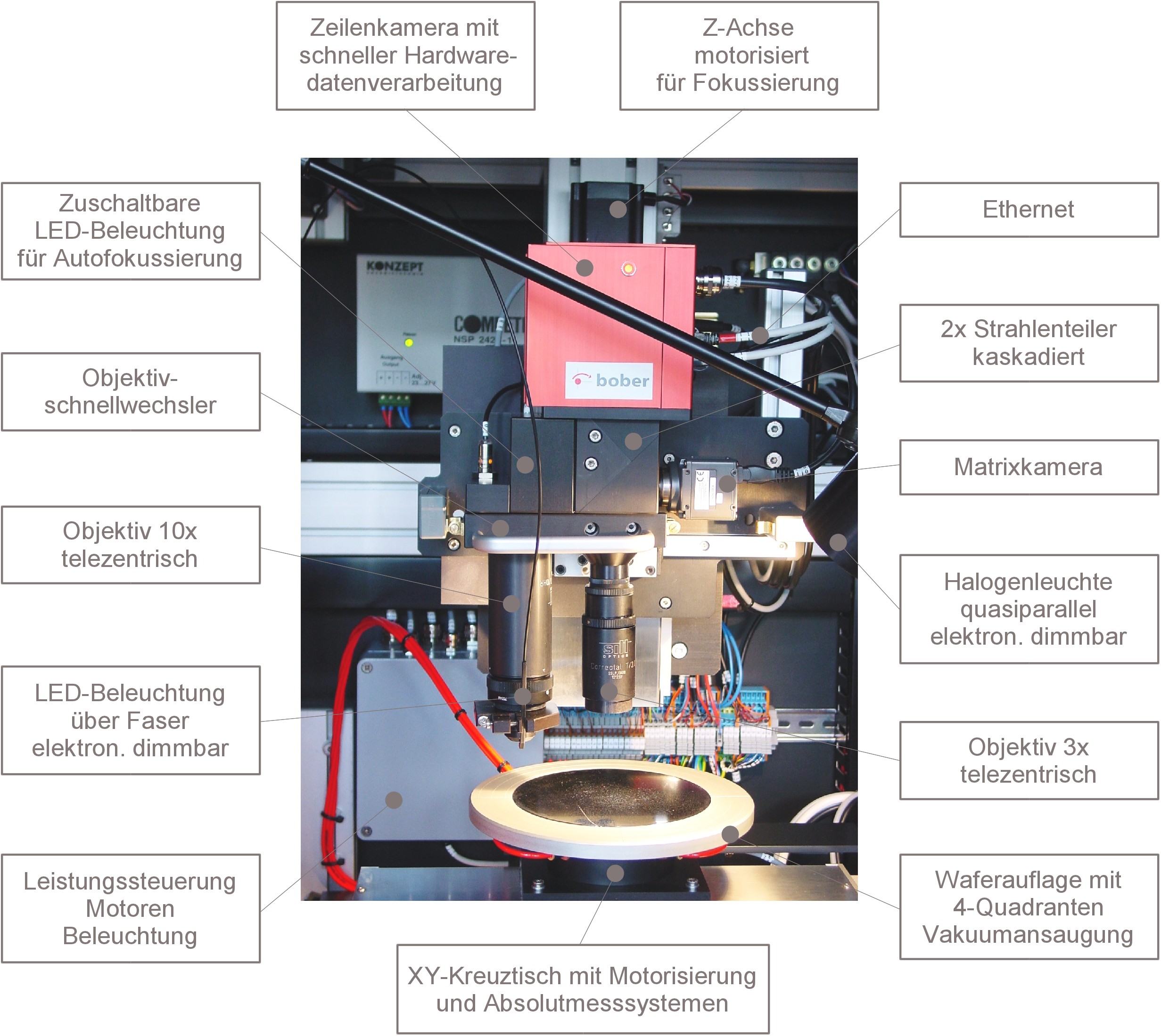 Komplexe Systeme